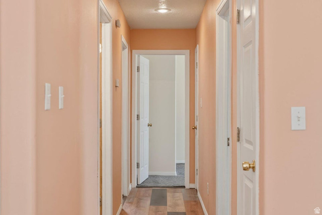 132 Rex Layne Drive Central, UT 84722 - Photo 25 of 39 Hallway featuring wood-finish flooring, light peach painted walls, and multiple white panel doors with brass-toned hardware