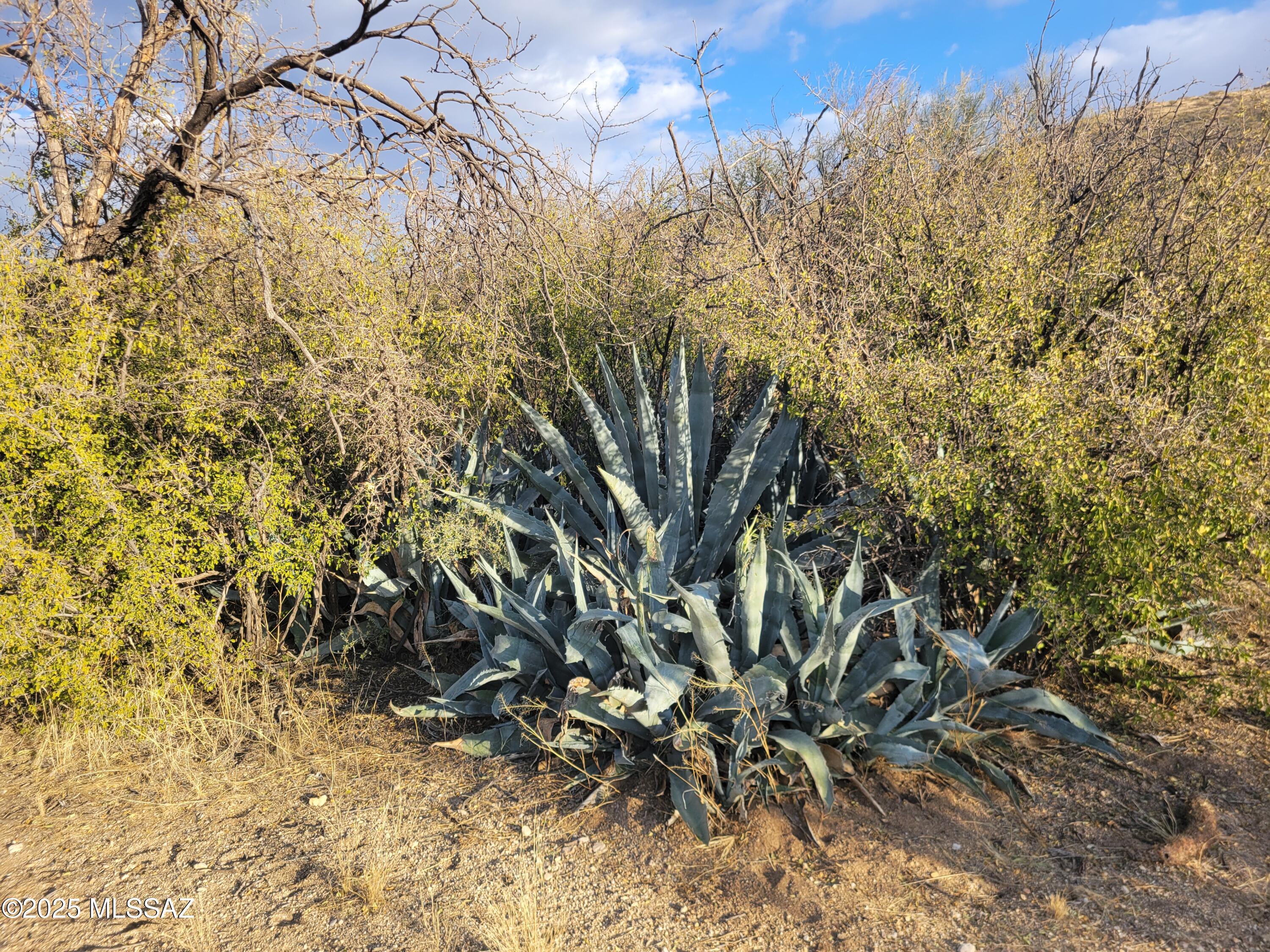Tbd South McQueen Ranch Road Marana, AZ 85658 - Photo 13 of 16
