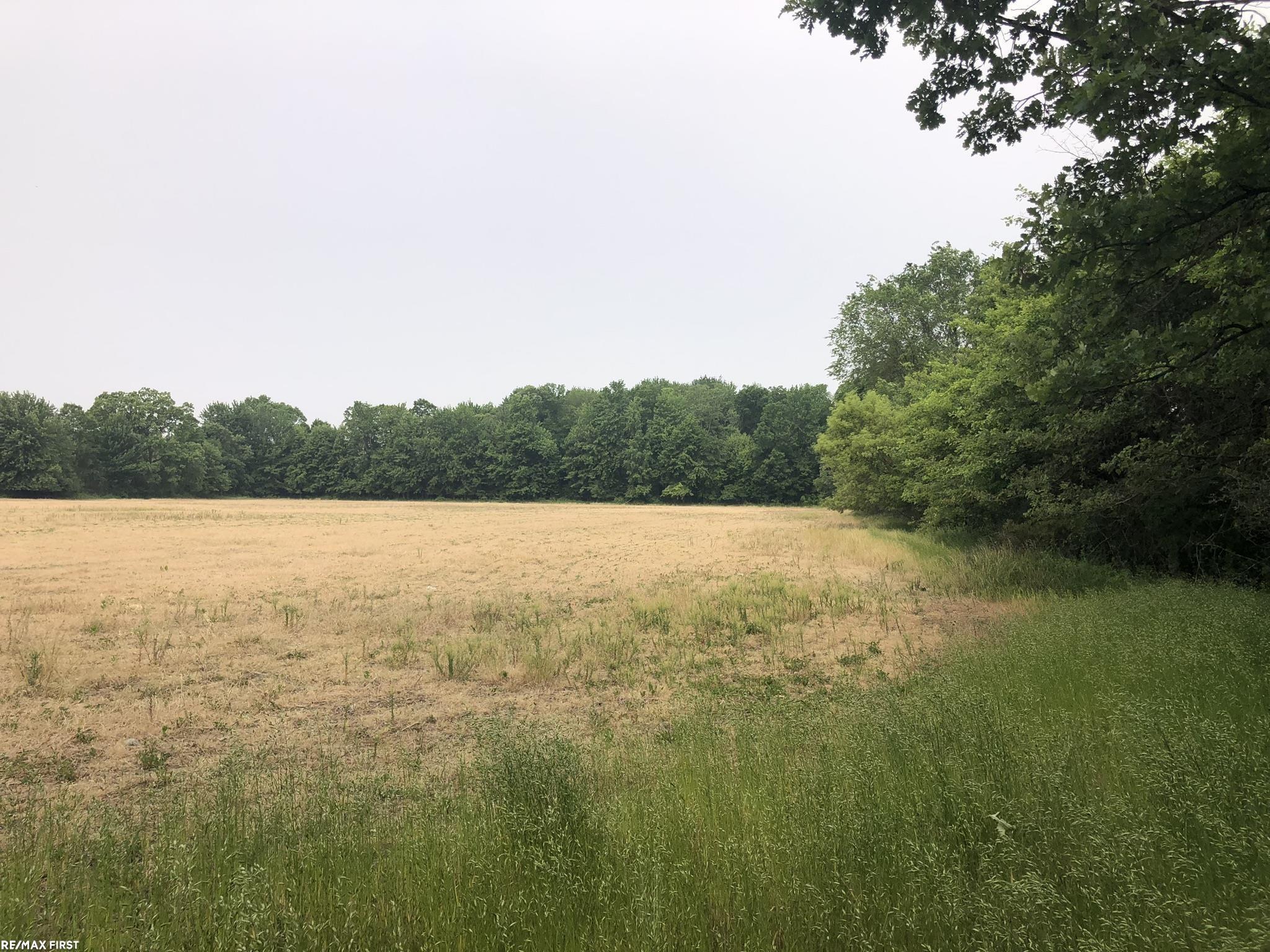 0 29 29 Mile Road New Haven, MI 48050 - Photo 15 of 38