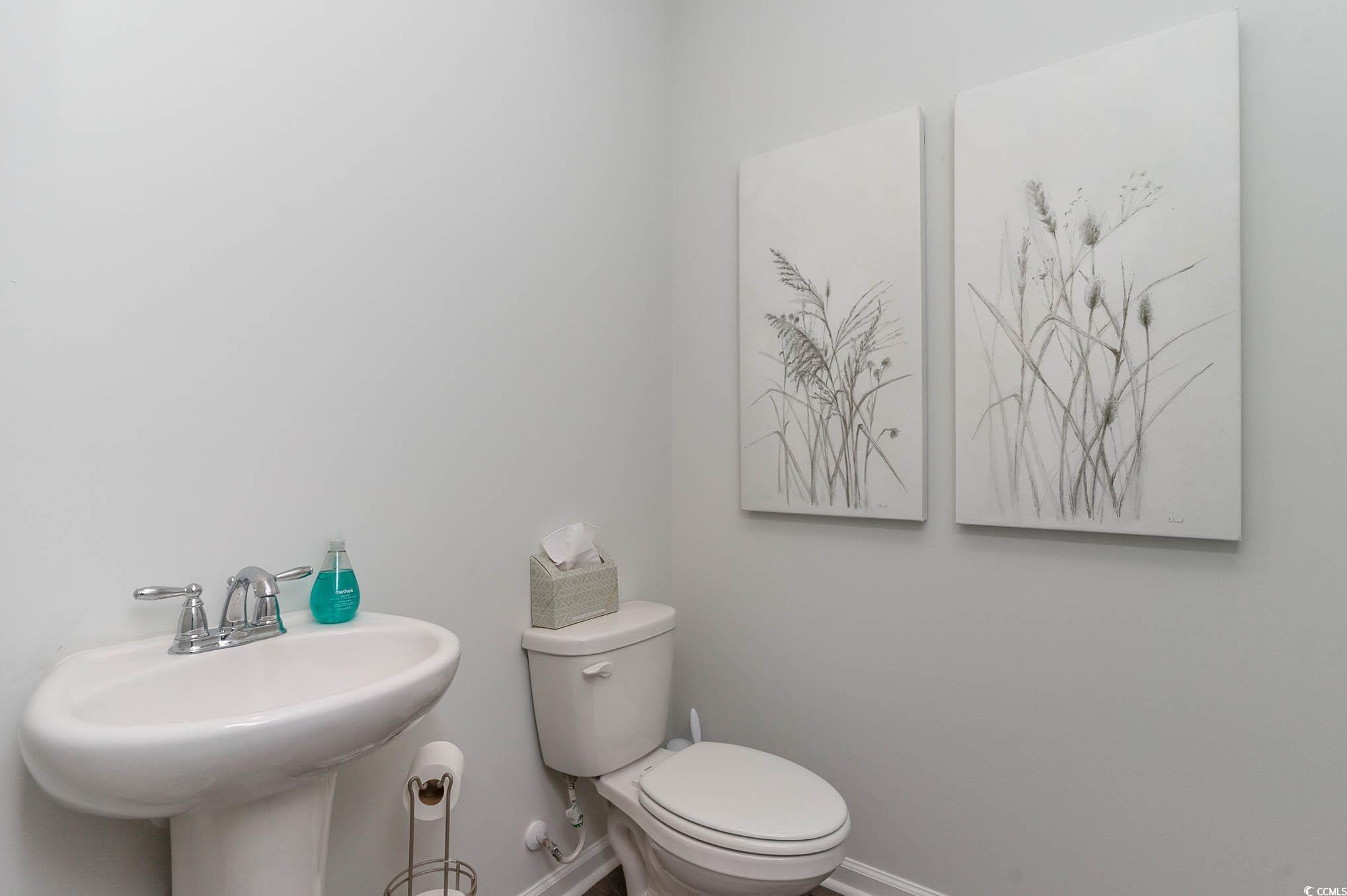 356 Rookroost Circle Conway, SC 29526 - Photo 6 of 27 Gallery Image 6