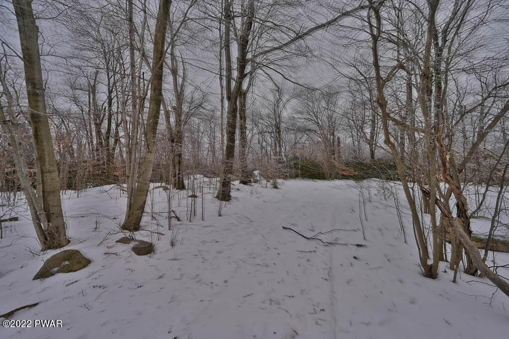 141 Split Rock Road Newfoundland, PA 18445 - Photo 20 of 90 5FC1C372-3E36-40FF-AB82-E59B879A4B01