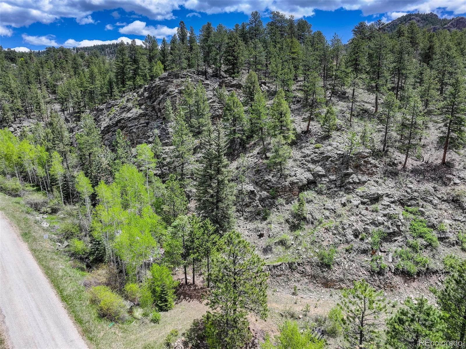 400 Crow Valley Road Bailey, CO 80421 - Photo 6 of 28