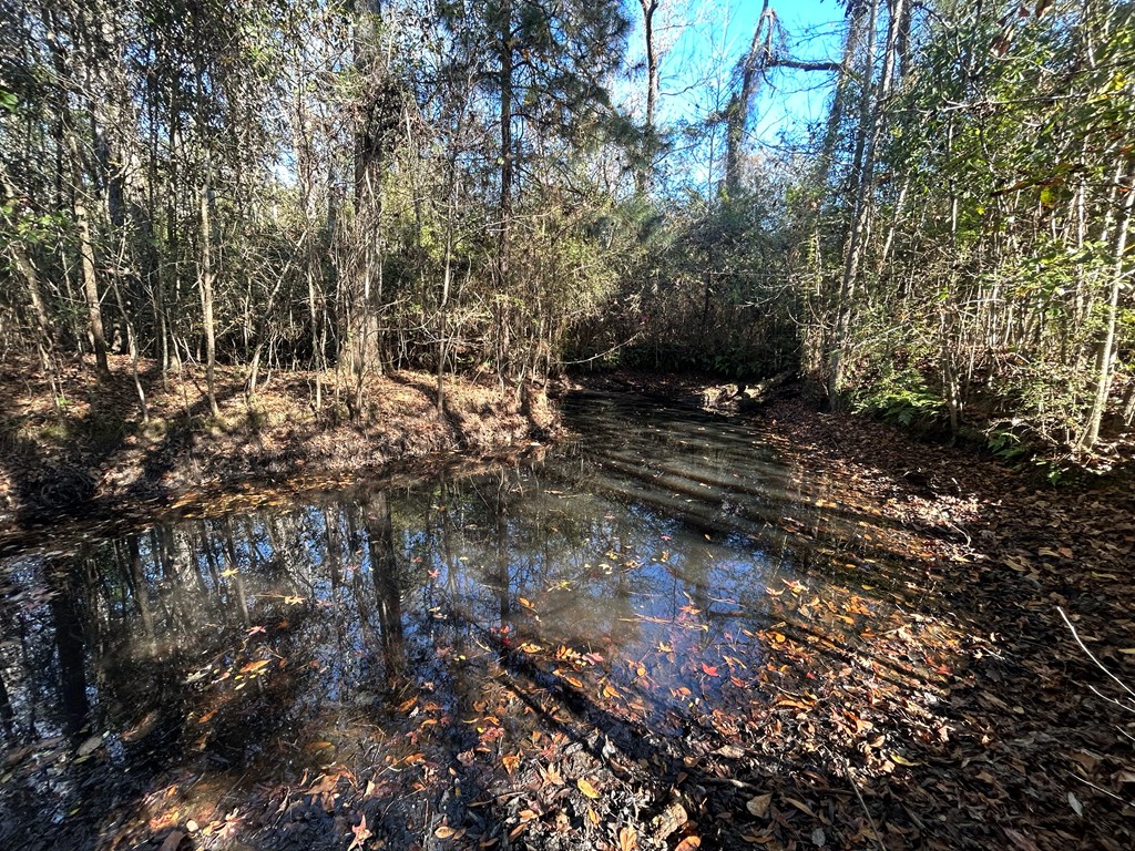 3630 Eddins Road Dothan, AL 36301 - Photo 27 of 43