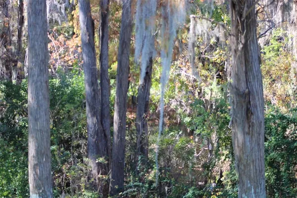 $265,000 | 36750 Highway 19, Unit 3203, Palm Harbor, FL 34684