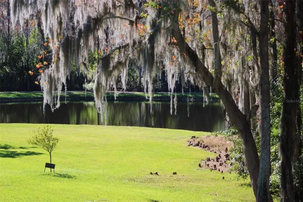 $265,000 | 36750 Highway 19, Unit 3203, Palm Harbor, FL 34684