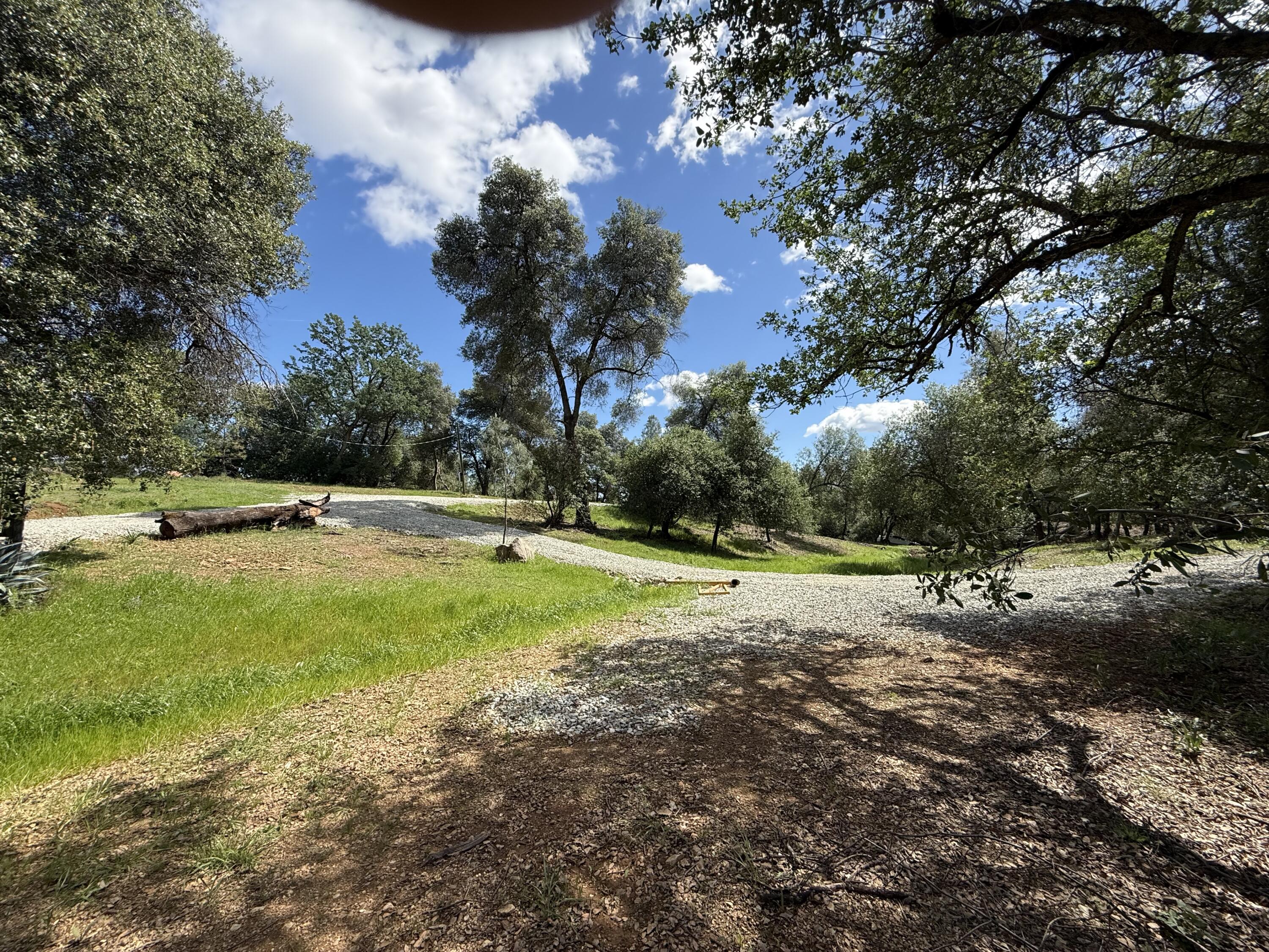 12333 Quartz Hill Road Redding, CA 96003 - Photo 13 of 21 a view of backyard with green space