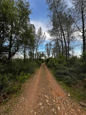 $177,000 | 60-acres Donkey Mine Road, Oak Run, CA 96069