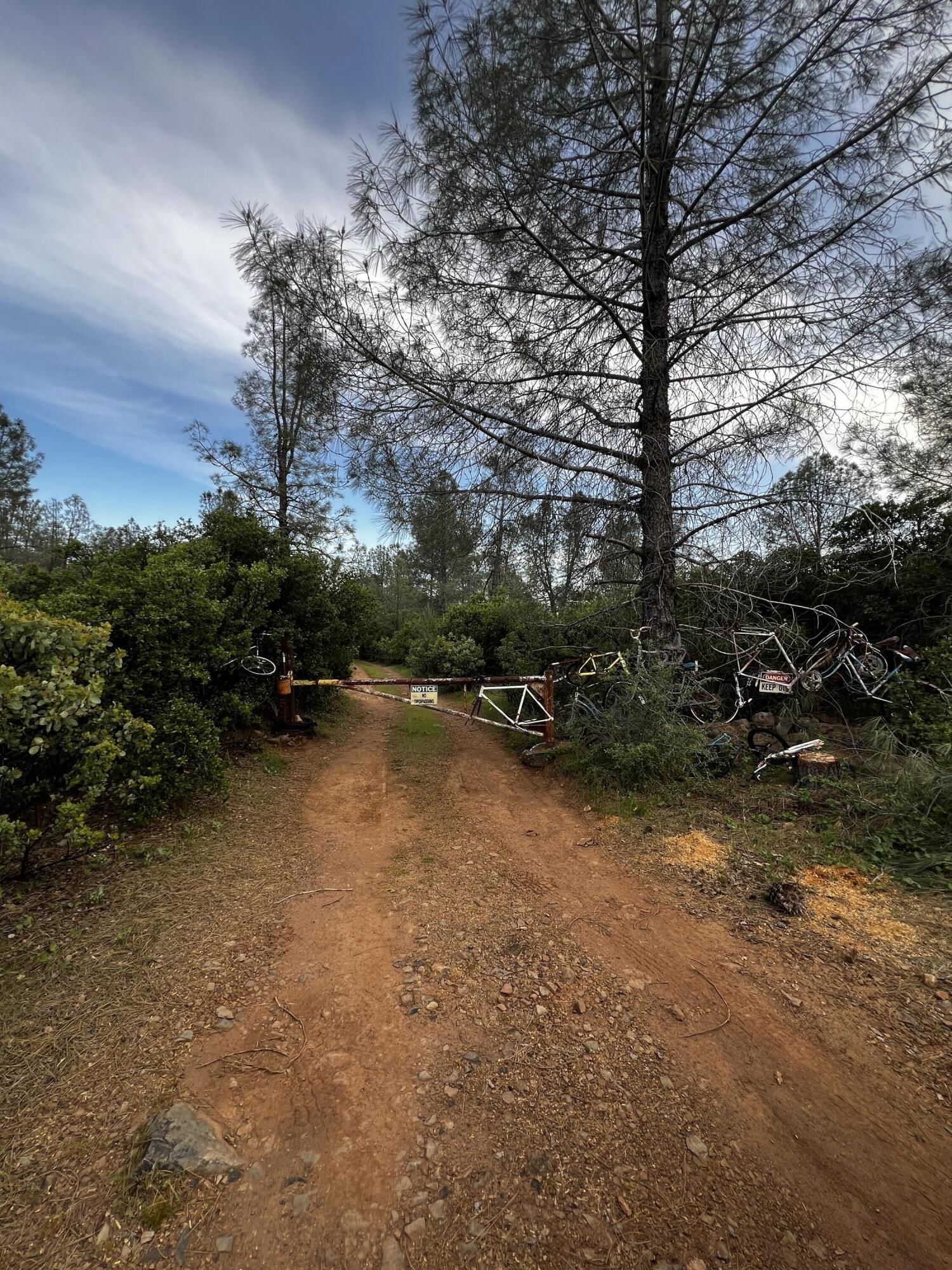 60-acres Donkey Mine Road Oak Run, CA 96069 - Photo 2 of 9 IMG_5342