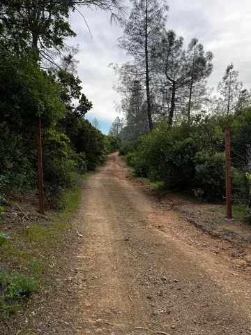 $184,000 | 60-acres Donkey Mine Road, Oak Run, CA 96069