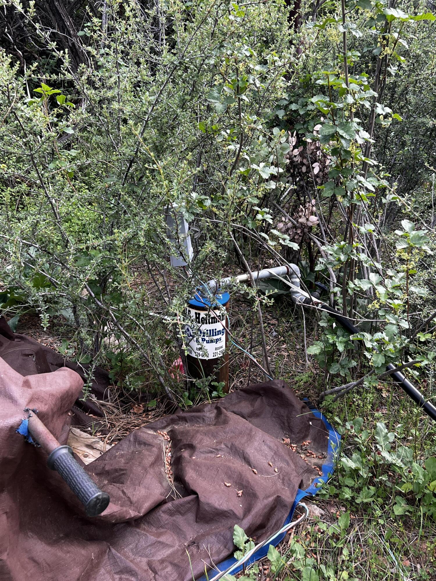 60-acres Donkey Mine Road Oak Run, CA 96069 - Photo 7 of 9 IMG_5347