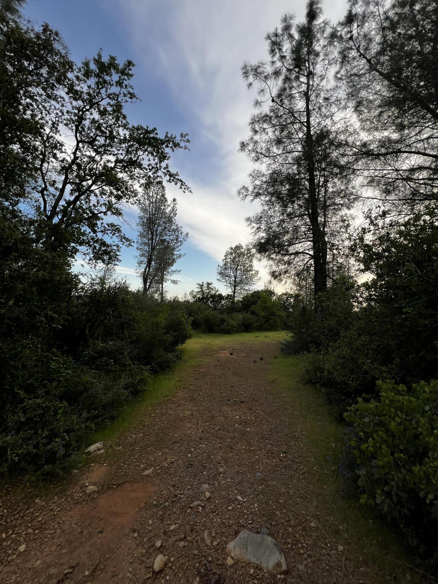 60-acres Donkey Mine Road Oak Run, CA 96069 - Photo 8 of 9 IMG_5346