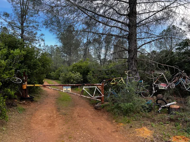 $184,000 | 60-acres Donkey Mine Road, Oak Run, CA 96069