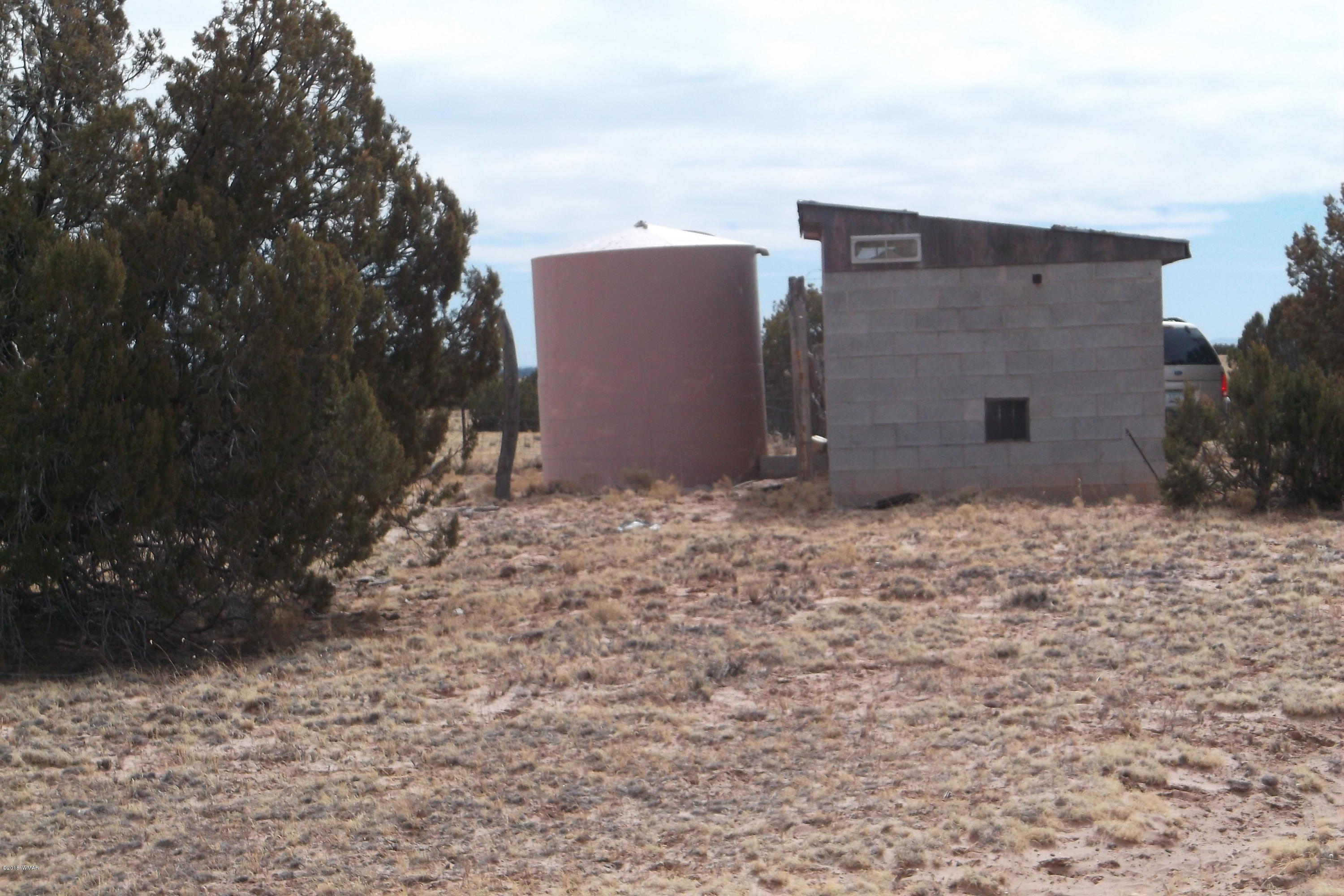 5 Sec 3 T17 R29 St. Johns, AZ 85936 - Photo 1 of 8