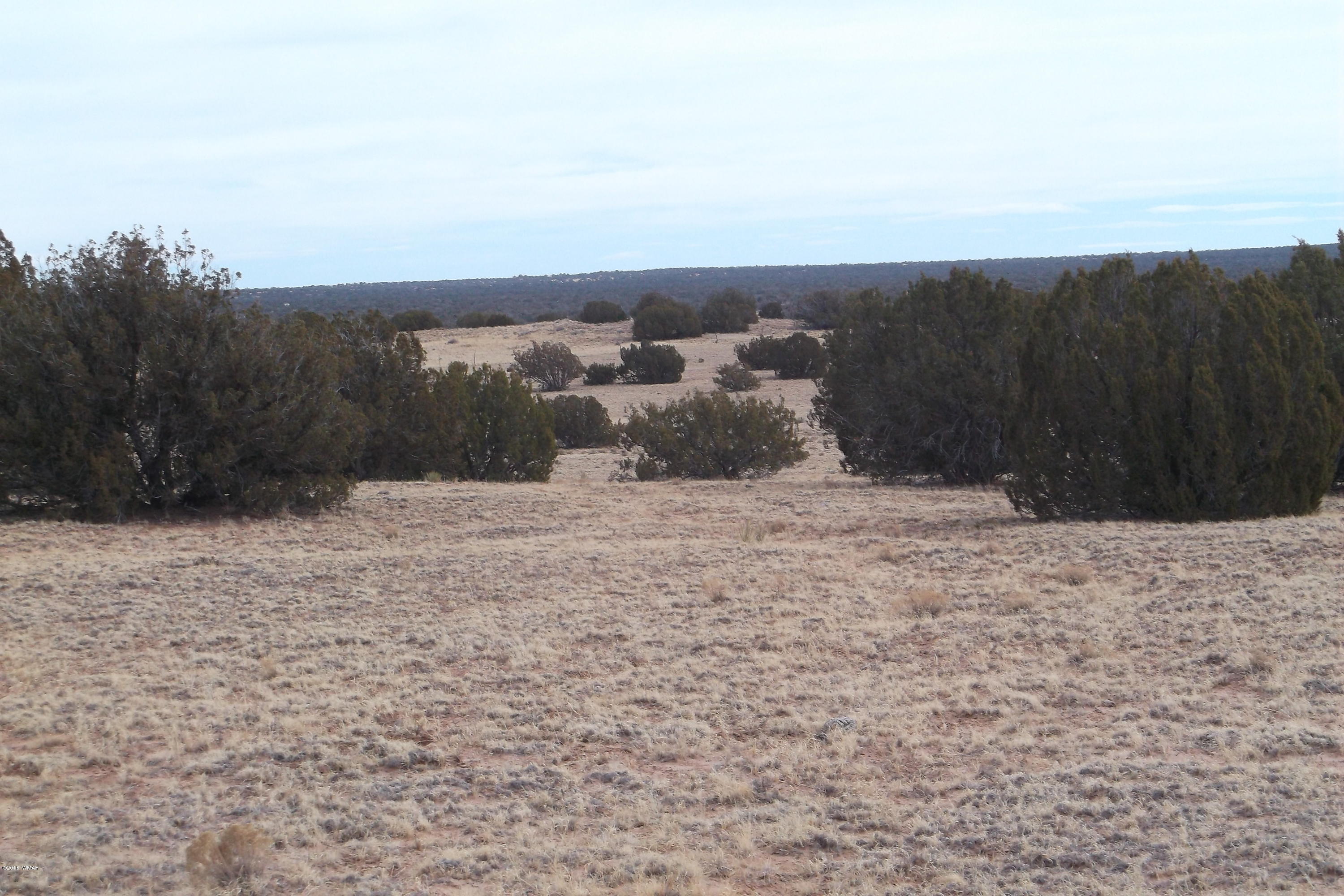 5 Sec 3 T17 R29 St. Johns, AZ 85936 - Photo 2 of 8