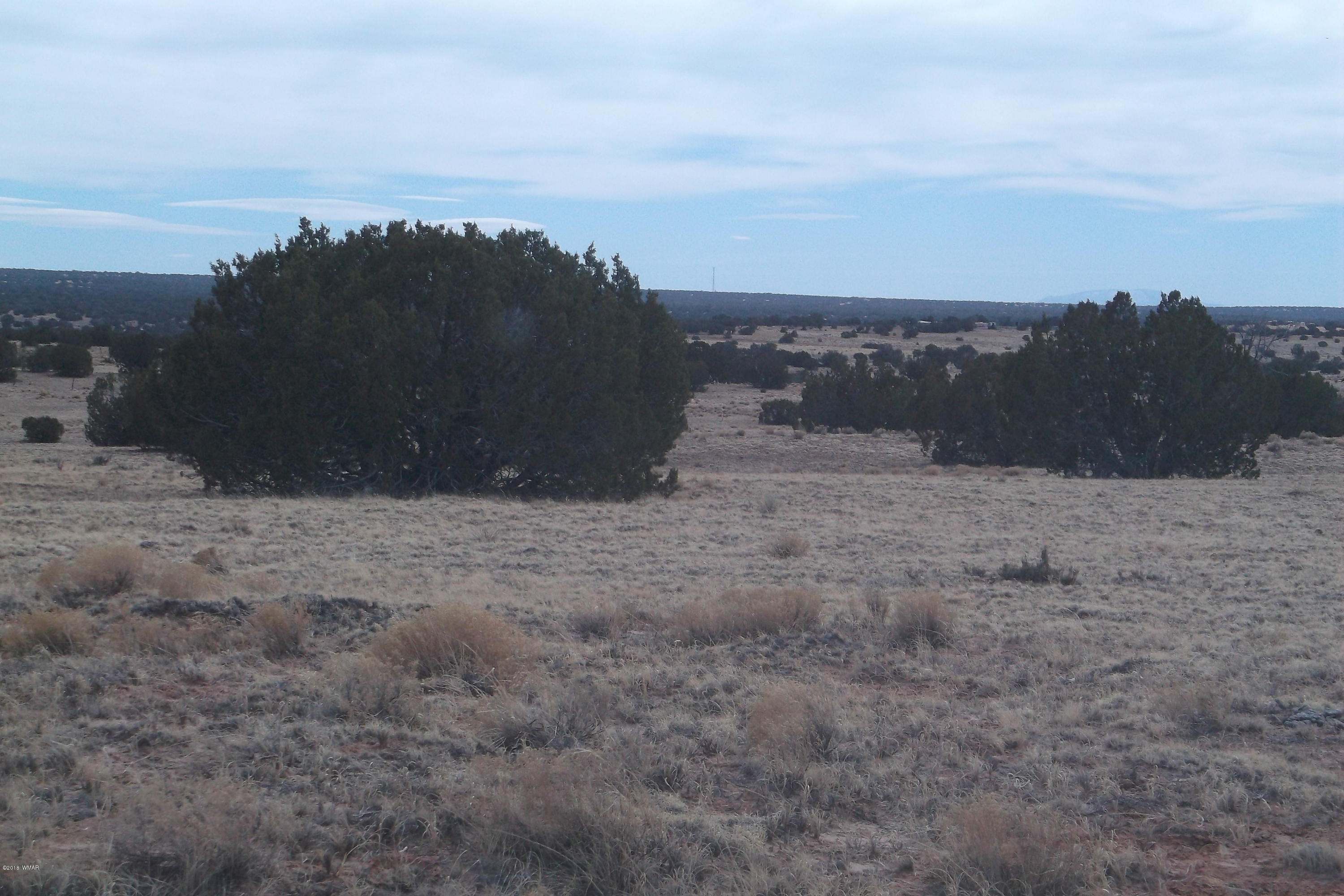 5 Sec 3 T17 R29 St. Johns, AZ 85936 - Photo 3 of 8