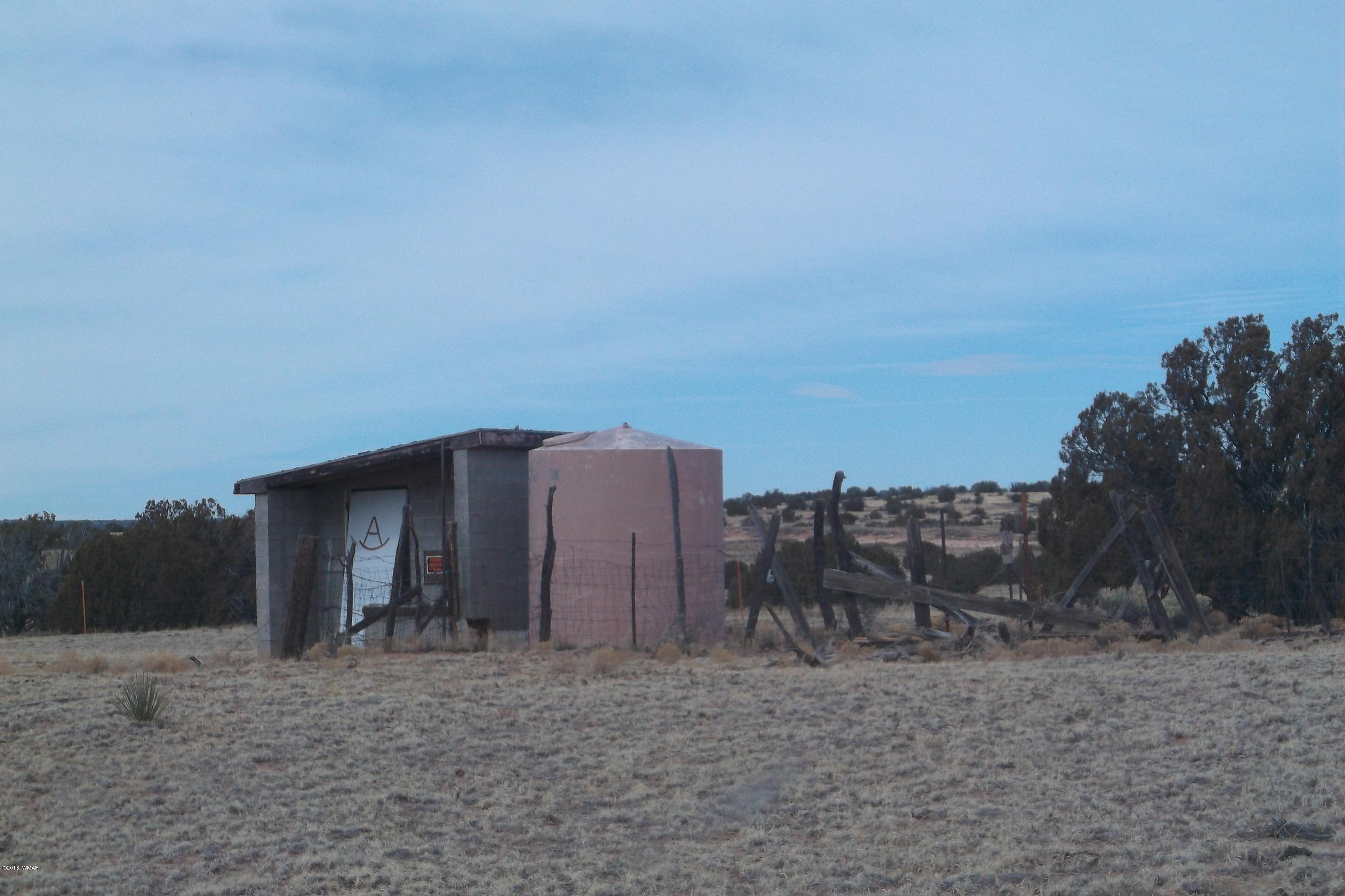 5 Sec 3 T17 R29 St. Johns, AZ 85936 - Photo 6 of 8