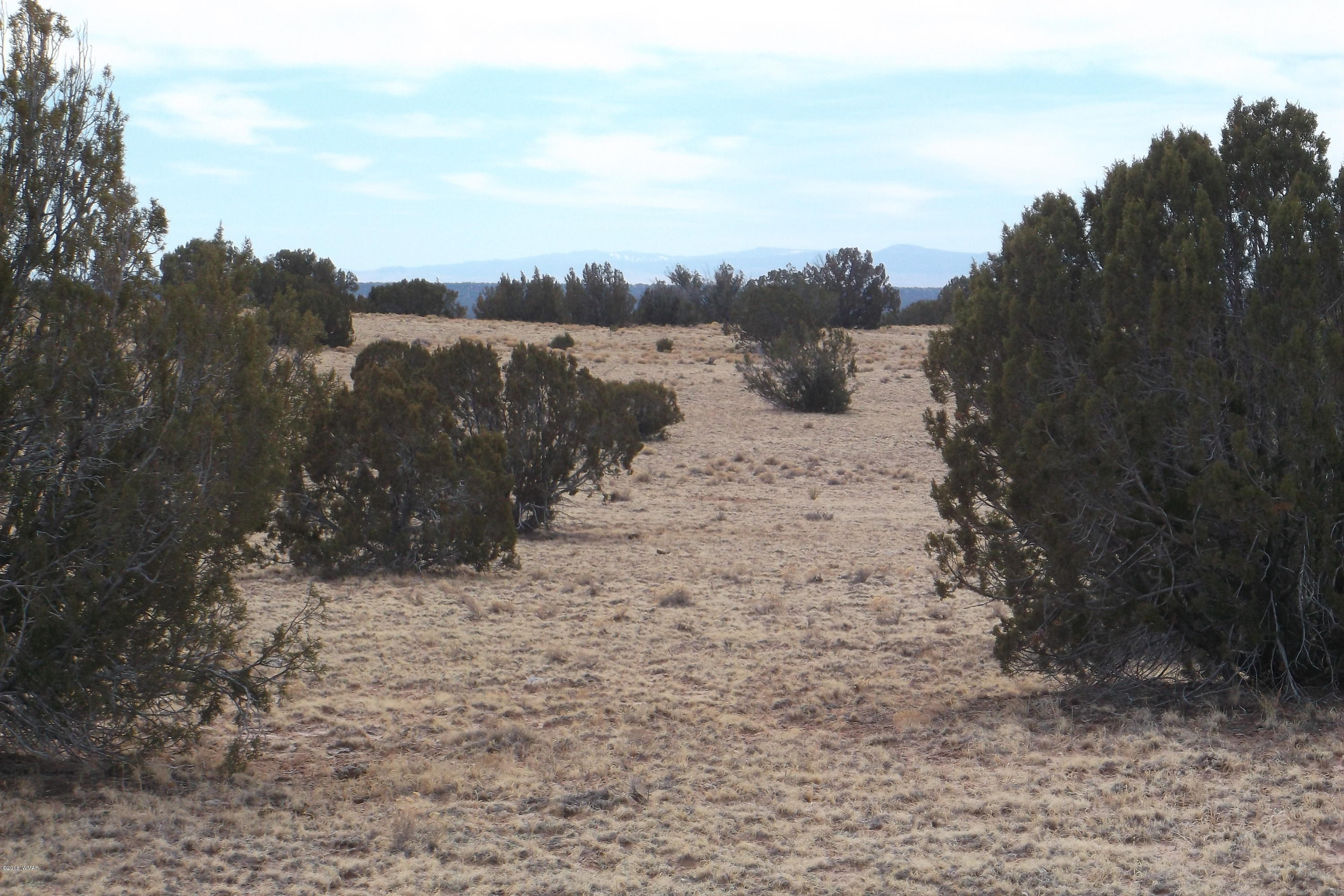 5 Sec 3 T17 R29 St. Johns, AZ 85936 - Photo 7 of 8