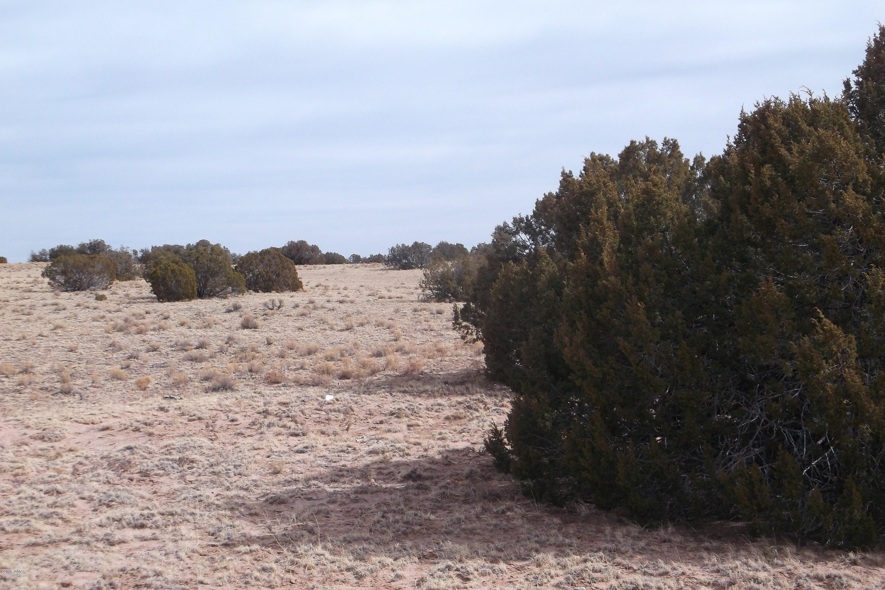 5 Sec 3 T17 R29 St. Johns, AZ 85936 - Photo 8 of 8