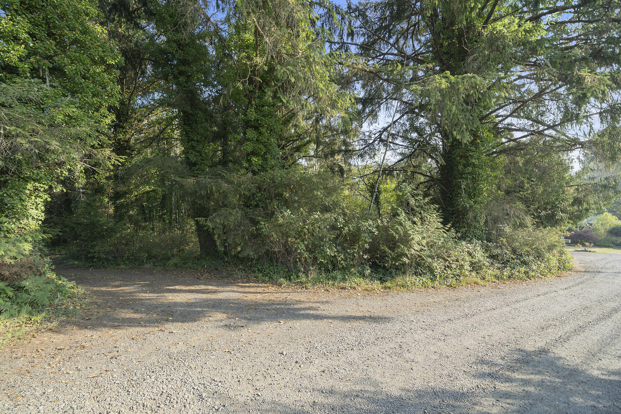 Aldercove Road West Tillamook, OR 97141 - Photo 1 of 7 Lot
