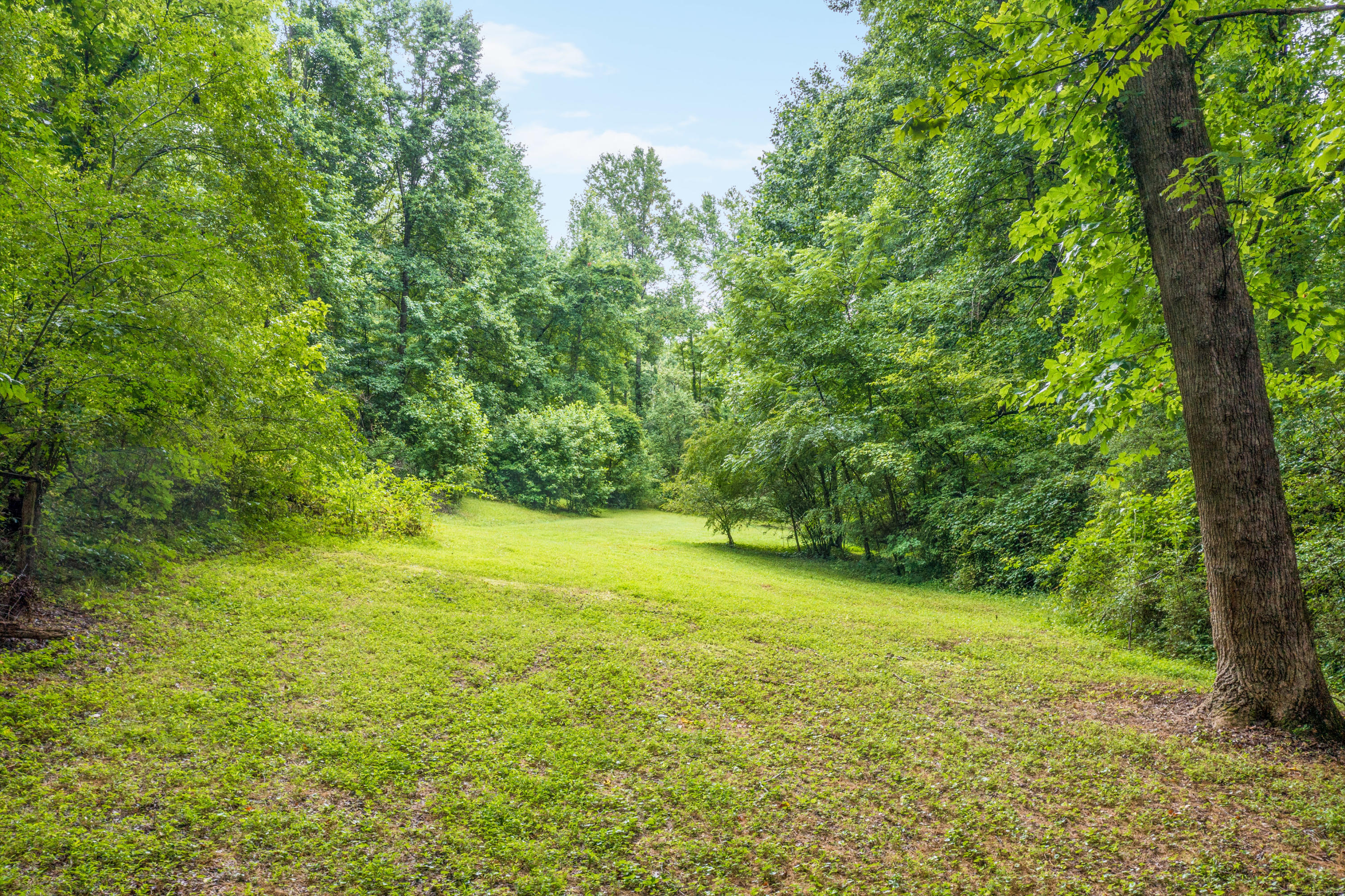 7755 Harper Road Hixson, TN 37343 - Photo 4 of 31 7755 _Harper_Rd_0015