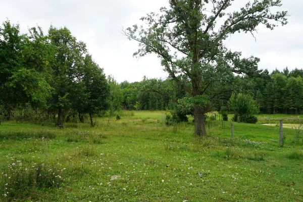 $149,000 | 47911 Taflin Lake Road, Gonvick, MN 56644