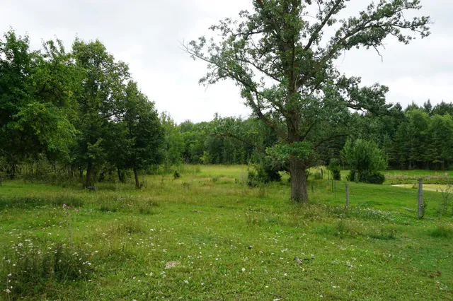 $159,000 | 47911 Taflin Lake Road, Gonvick, MN 56644