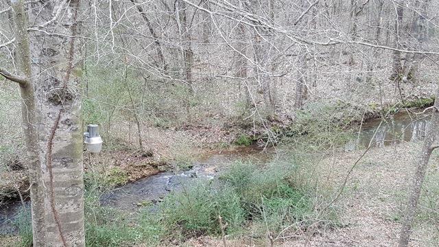 904 Kennedy Road St. Joseph, TN 38481 - Photo 23 of 27 view from front porch