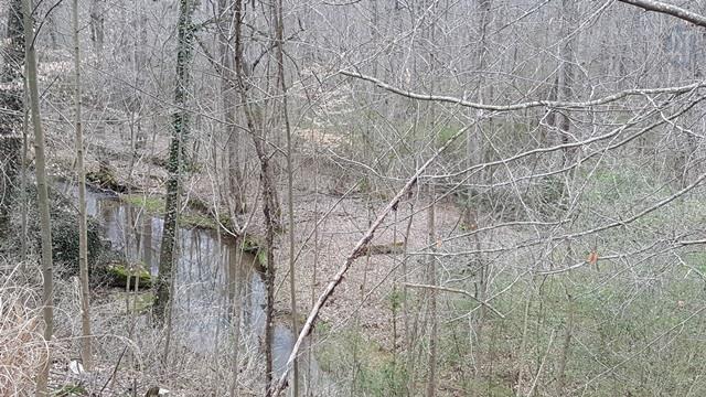 904 Kennedy Road St. Joseph, TN 38481 - Photo 24 of 27 Gallery Image 24