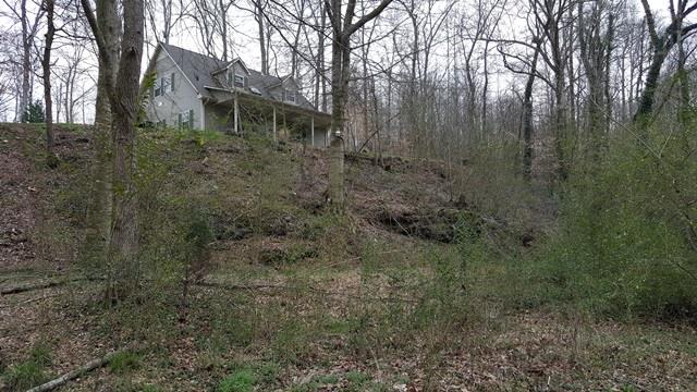 904 Kennedy Road St. Joseph, TN 38481 - Photo 25 of 27 looking up at the house