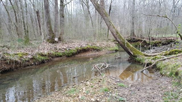 904 Kennedy Road St. Joseph, TN 38481 - Photo 26 of 27 creek