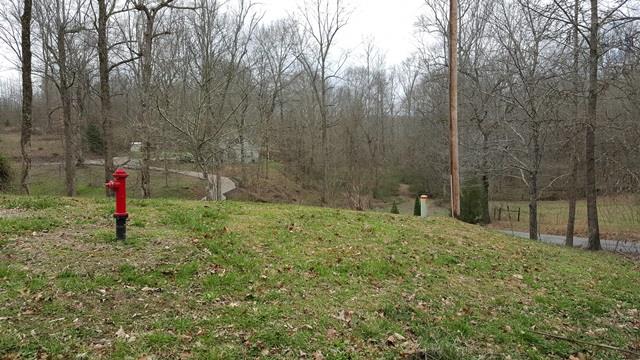 904 Kennedy Road St. Joseph, TN 38481 - Photo 27 of 27 view from street