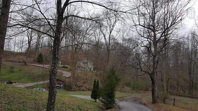 904 Kennedy Road St. Joseph, TN 38481 - Photo 3 of 27 Gallery Image 3