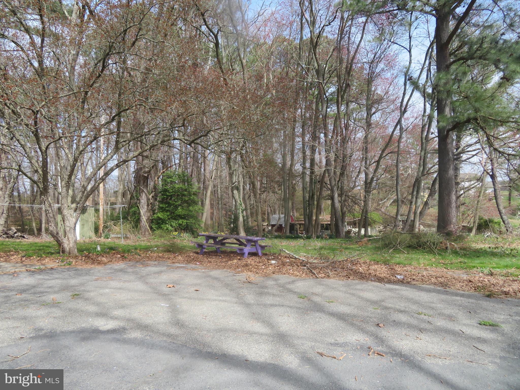 294 Arneys Mt Road Columbus, NJ 08022 - Photo 24 of 36