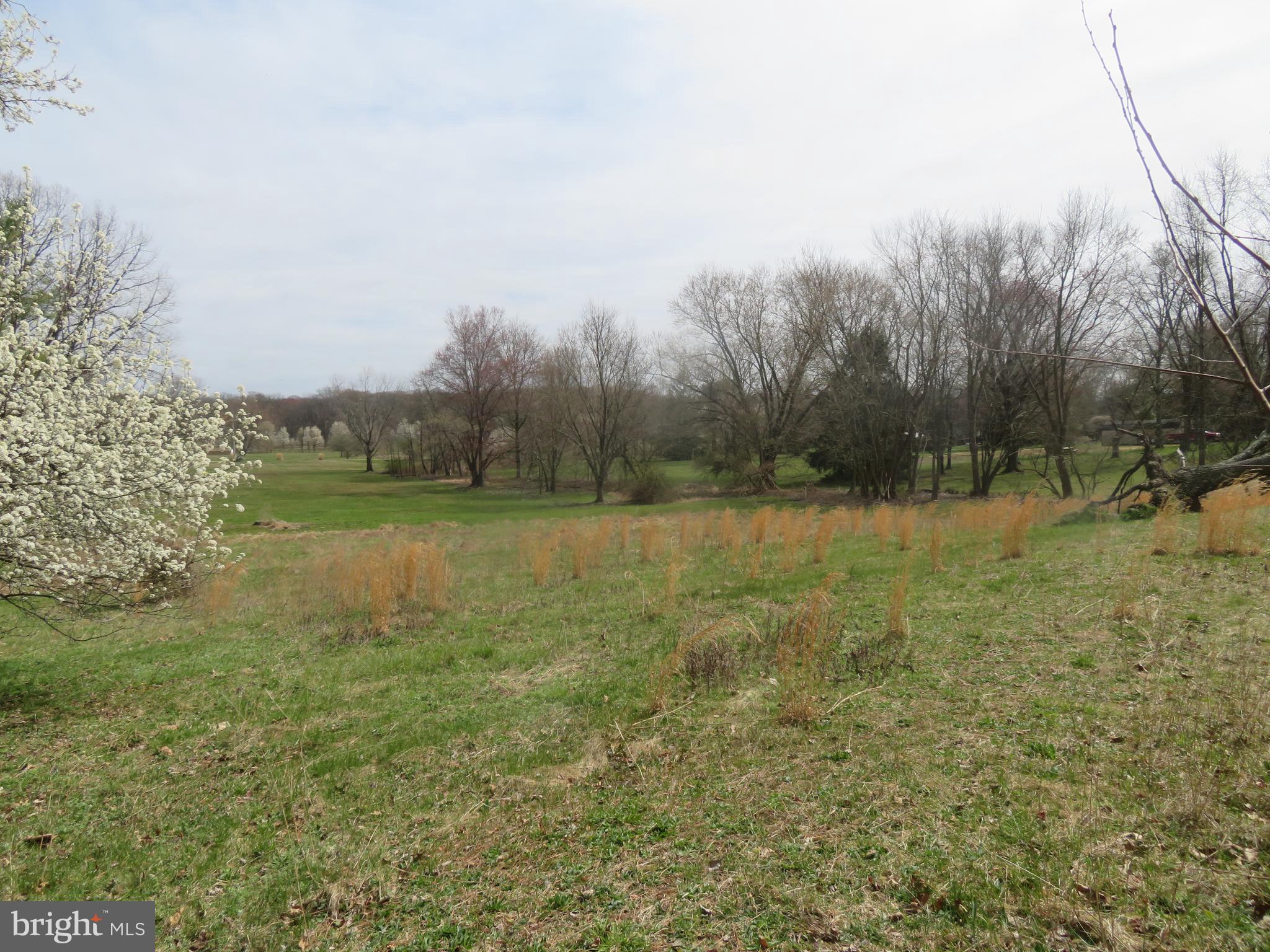 294 Arneys Mt Road Columbus, NJ 08022 - Photo 27 of 36