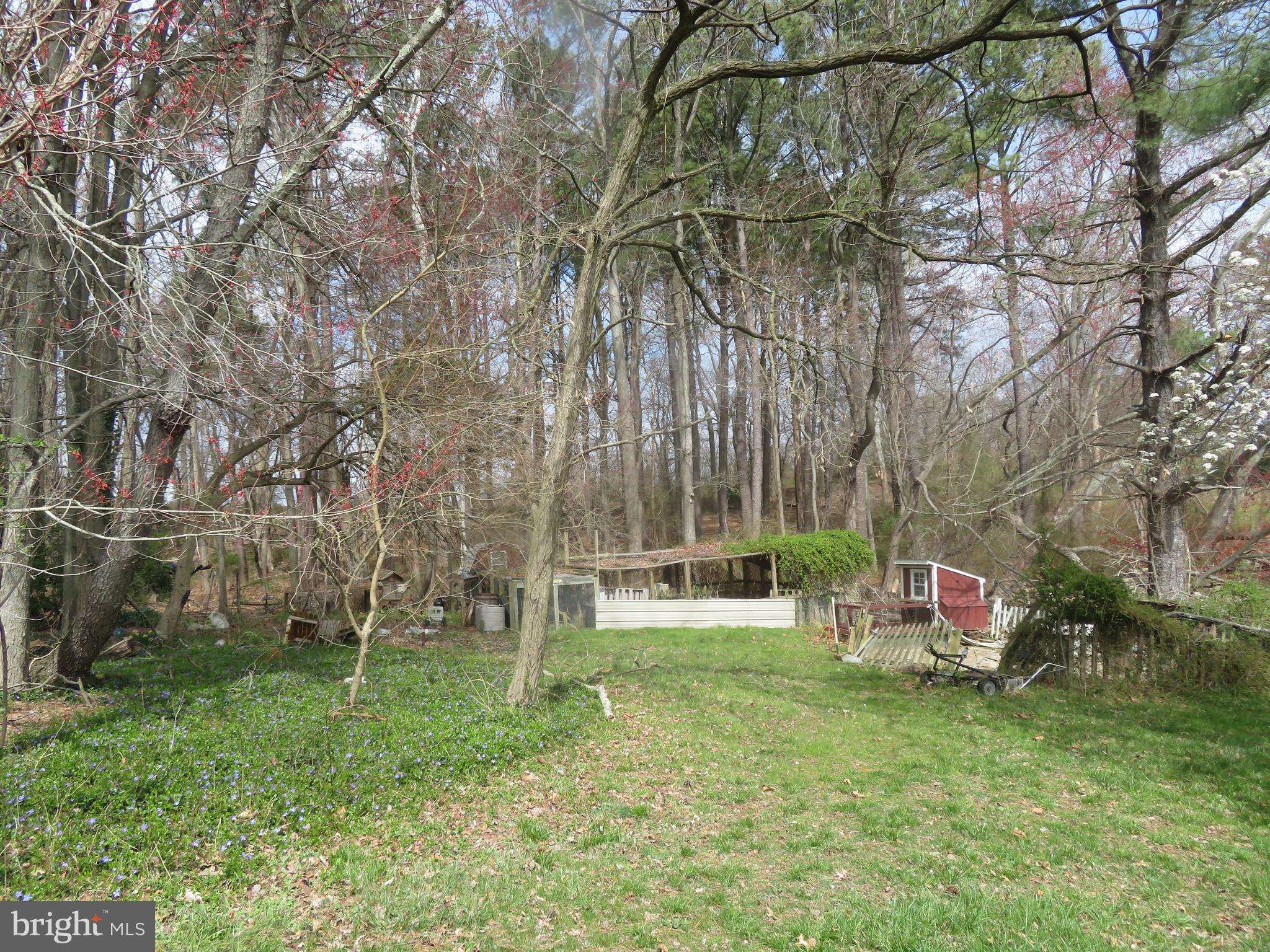 294 Arneys Mt Road Columbus, NJ 08022 - Photo 28 of 36