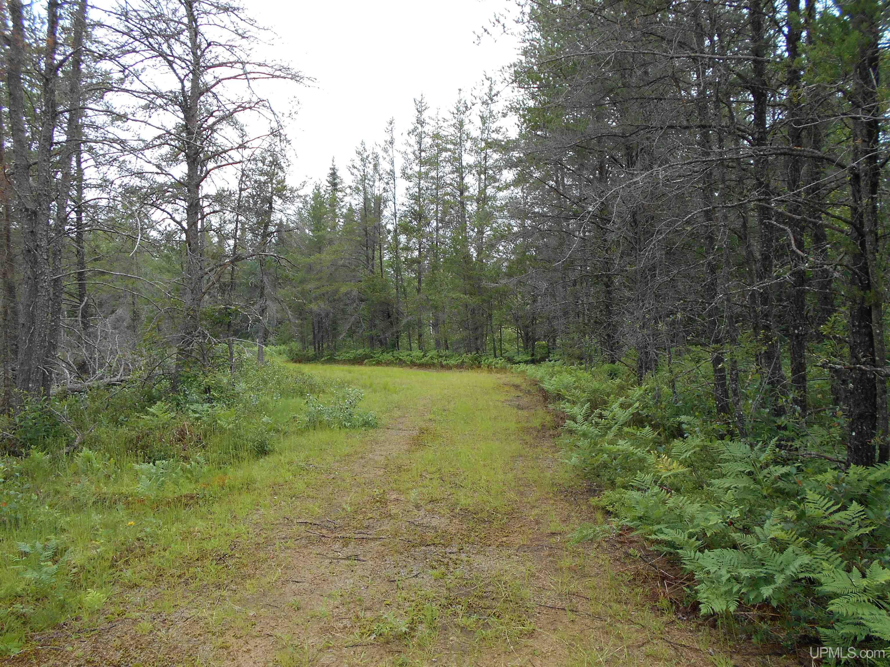 2245 West Co Road Seney, MI 49883 - Photo 19 of 22