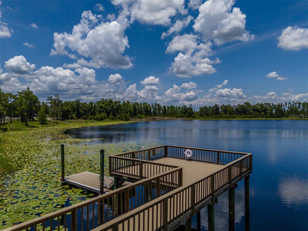 1686 Cherry Walk Road Lutz, FL 33558 - Photo 70 of 70