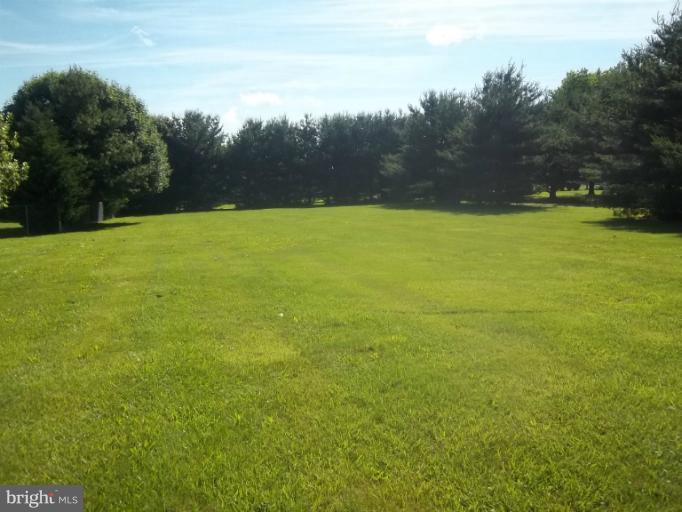 Biggs Highway Rising Sun, MD 21911 - Photo 3 of 3 Lot w/Perimeter Pine Trees