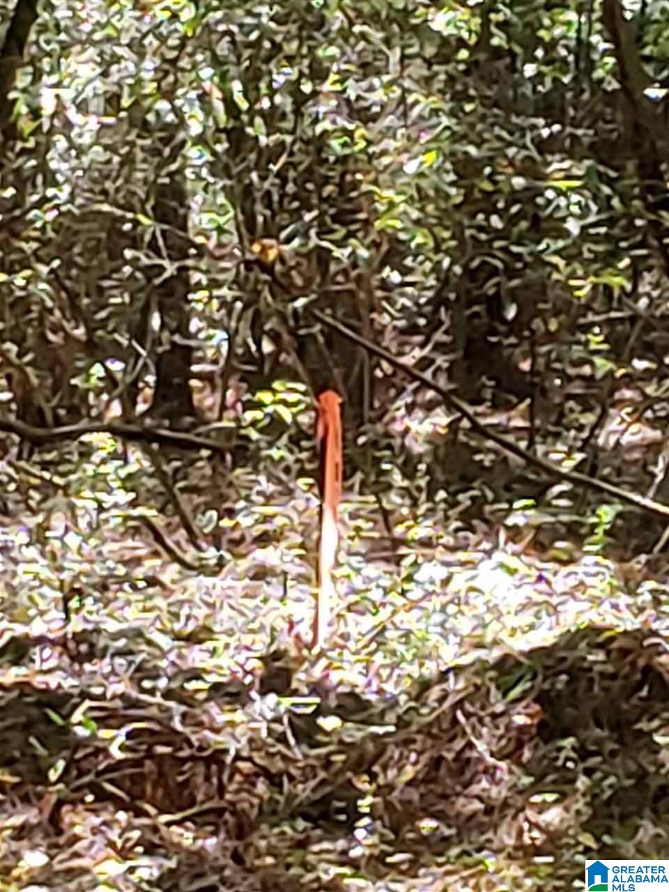 Lot 9 Redman Hall Road, Unit 1 Oneonta, AL 35121 - Photo 8 of 10