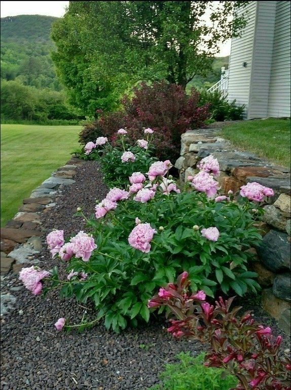 158 Scantic Road Hampden, MA 01036 - Photo 39 of 42 a view of a flower in a garden