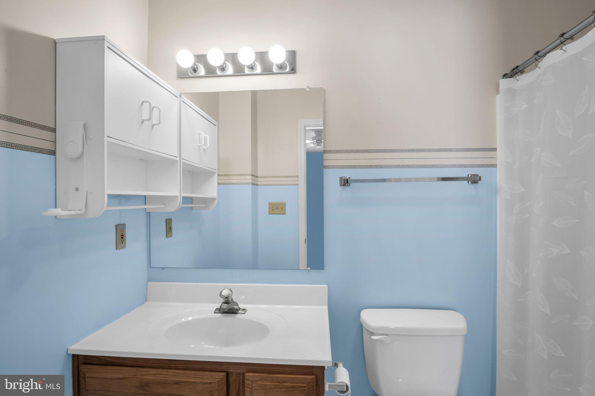 433 Mill Race Road Carlisle, PA 17013 - Photo 21 of 27 a bathroom with a sink a toilet and a mirror