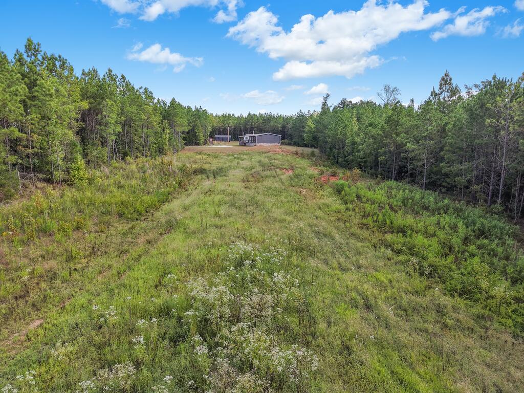 261 Fox Road Abbeville, SC 29620 - Photo 39 of 43 Gallery Image 39