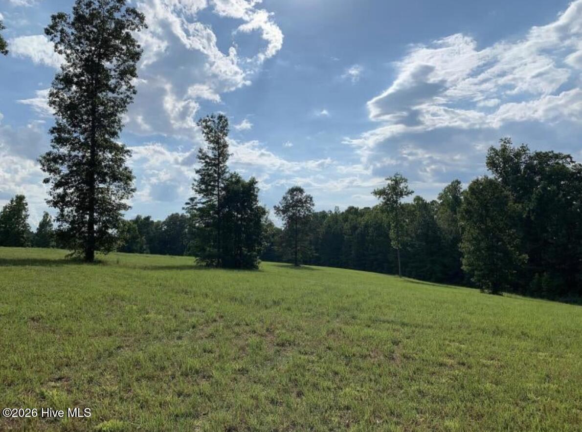 321 Whistle Hill Road Cameron, NC 28326 - Photo 1 of 12