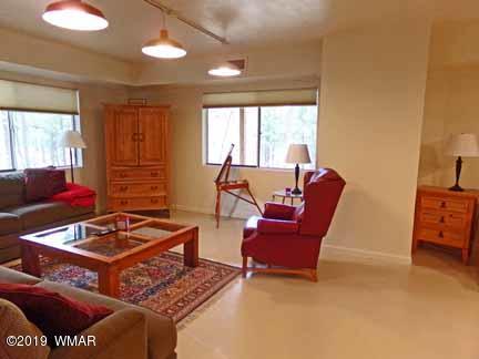 43 County Road Alpine, AZ 85920 - Photo 35 of 51