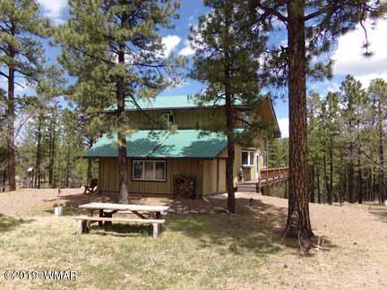 43 County Road Alpine, AZ 85920 - Photo 4 of 51