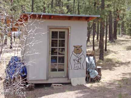 43 County Road Alpine, AZ 85920 - Photo 47 of 51