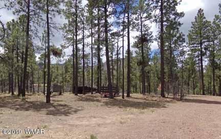 43 County Road Alpine, AZ 85920 - Photo 48 of 51