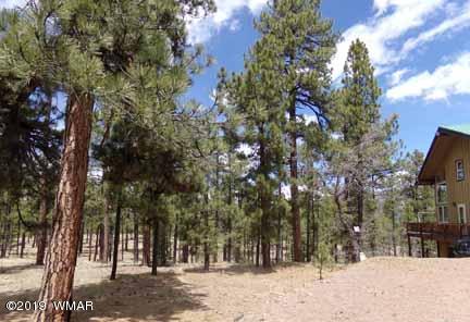 43 County Road Alpine, AZ 85920 - Photo 49 of 51