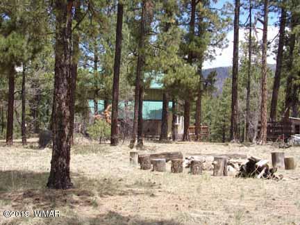 43 County Road Alpine, AZ 85920 - Photo 50 of 51