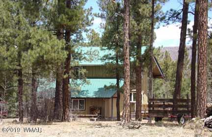 43 County Road Alpine, AZ 85920 - Photo 5 of 51